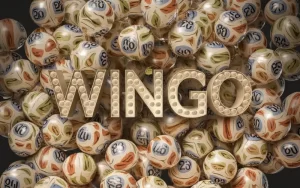 Wingo Prediction Live